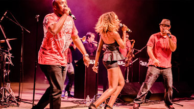 The Sly Band