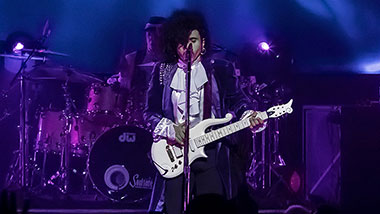 Prince Tribute Singer