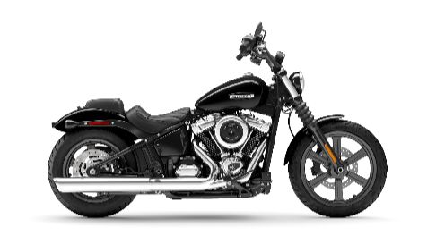 Harley (486x273)